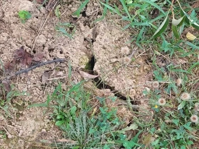 Navodnjavanje voća