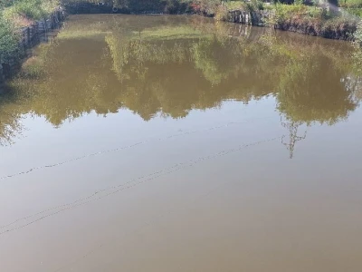 Nema proizvodnje bez navodnjavanja