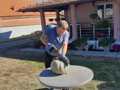 Nenad je šampion u uzgajanju bundeva