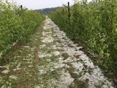 Nevrijeme u Ćeli