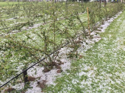 Nevrijeme u Ćeli