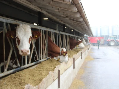 Nezaustavljiv rast Farme Euro, uskoro vrata otvara i sirana