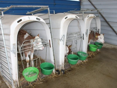 Nezaustavljiv rast Farme Euro, uskoro vrata otvara i sirana
