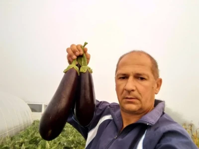 Nihad i Semina Gurbeta se već 15 godina bave plasteničkom proizvodnjom