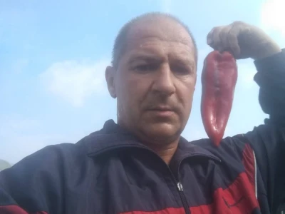 Nihad i Semina Gurbeta se već 15 godina bave plasteničkom proizvodnjom