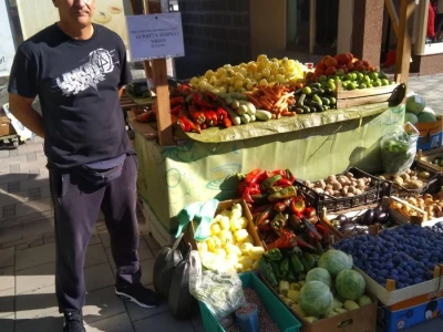 Nihad i Semina Gurbeta se već 15 godina bave plasteničkom proizvodnjom