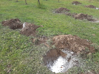 Novi zasadi