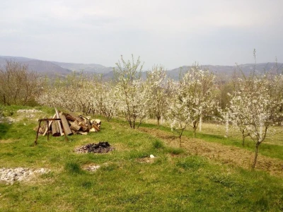 Novi zasadi