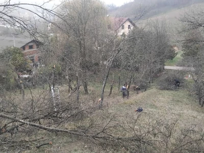 Novica Stojanović