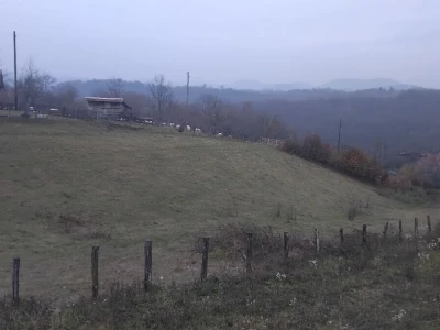 Novica Stojanović