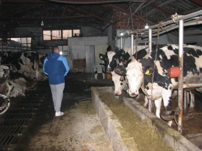 obilazak farme
