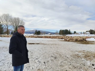 Obitelj Romić iz Kupresa najveći proizvođači ovčijeg mlijeka u BiH