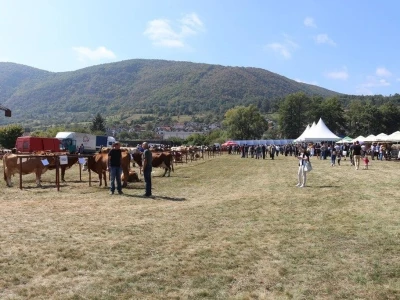 Održan čuveni rogatički sajam