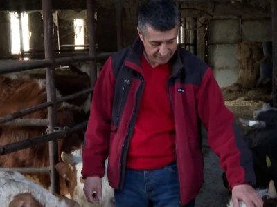 Odustao od proizvodnje mlijeka i okrenuo se tovu bikova i svinjogojstvu
