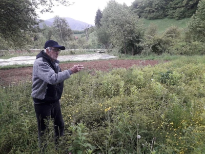 Omer Begović: Manimo se egzotike, uzgajajmo voće našeg podneblja