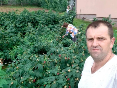 Općina Gornji Vakuf- Uskoplje isplatila poticaj proljetnoj sjetvi