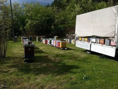 OPG Šperac: Proizvodi od meda i kozmetika za lijep izgled