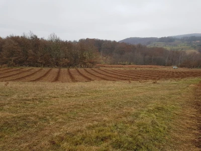 Organska proizvodnja i proizvodi
