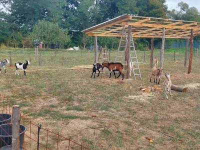 Organska proizvodnja i proizvodi