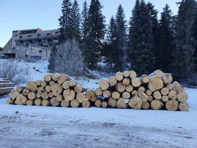 Ovako je izgledala prva javna licitacija cijena drvnih sortimenata na Igmanu