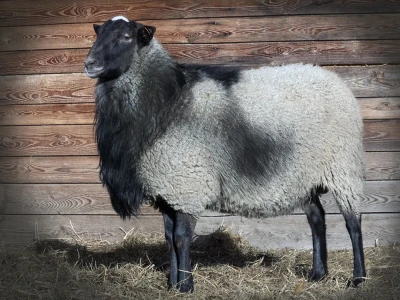 Farma Hacienda de la Vida kod Kiseljaka