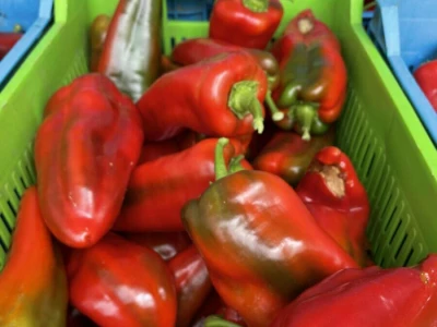 paprika