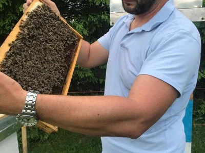 Pčelar Dino Haračić
