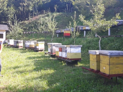 Počinje nova pčelarska godina