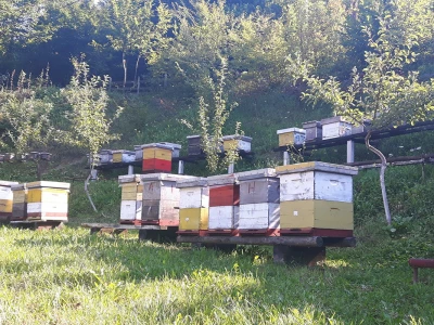 Počinje nova pčelarska godina