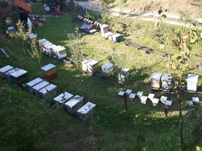 Počinje nova pčelarska godina