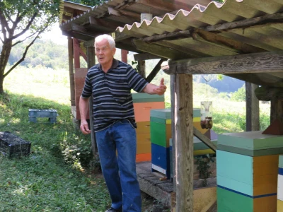 Pčelar Miloš Odžić