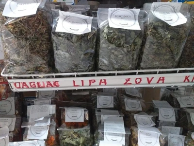 Pčelarenje i ljekovito bilje