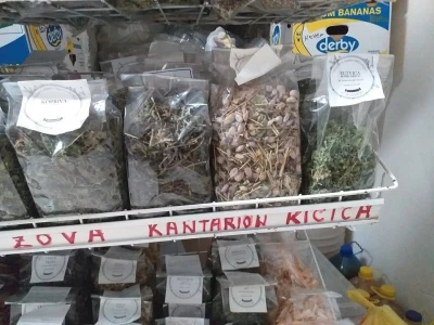 Pčelarenje i ljekovito bilje