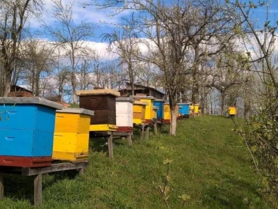 Pčelari se plaše da ih vrijeme i ove godine ne prevari