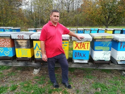 Pčelarski put Željka Ignjatića: Od sanduka za municiju do 200 košnica