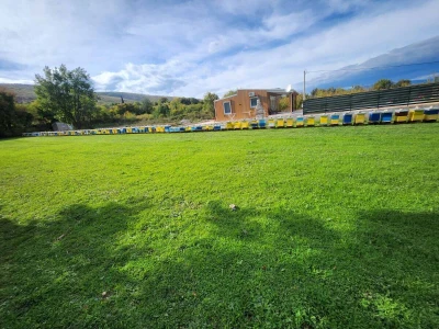 Pčelarstvo Hrnjica
