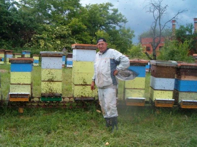 Pčelarstvo Karahodžić 2
