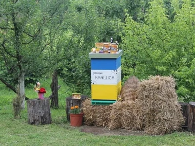Pčelinjaci Kraljica – Porodična tradicija duga 22 godine