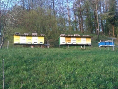 Pčelinjak