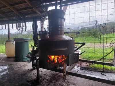 Pečenje rakije