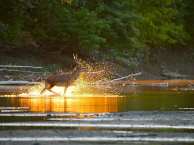 Pet savjeta za ruralnu fotografiju koja priča priču