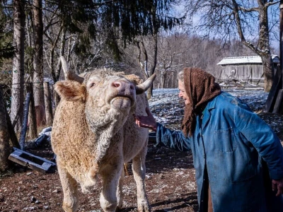 Pet savjeta za ruralnu fotografiju koja priča priču