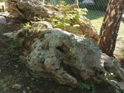 Planinarsko društvo "Čičak"