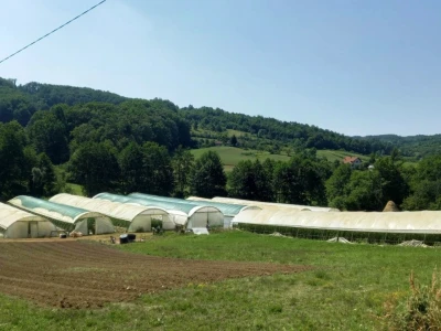 Plastenička proizvodnja Admira Zahirovića