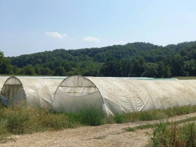 Plastenička proizvodnja Admira Zahirovića