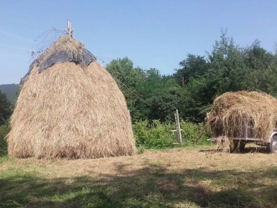 Počeli sa jednom kozom i korak po korak došli do farme: Porodica Tripić iz Banjaluke nadomak grada uživa u zdravim ekološkim proizvodima
