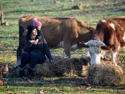 Počeli sa jednom kozom i korak po korak došli do farme: Porodica Tripić iz Banjaluke nadomak grada uživa u zdravim ekološkim proizvodima
