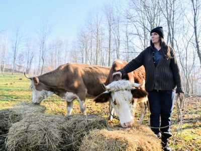 Počeli sa jednom kozom i korak po korak došli do farme: Porodica Tripić iz Banjaluke nadomak grada uživa u zdravim ekološkim proizvodima