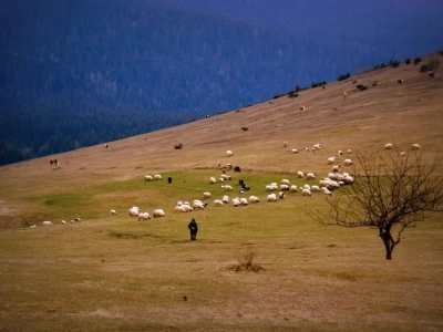 Podgorja