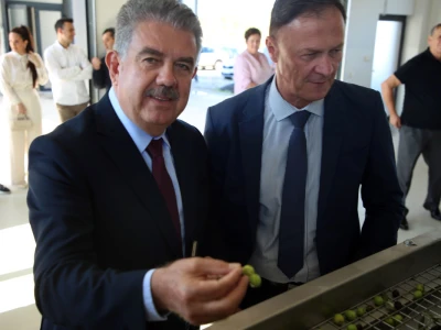 Pogon za preradu maslina i proizvodnju maslinovog ulja u Neumu